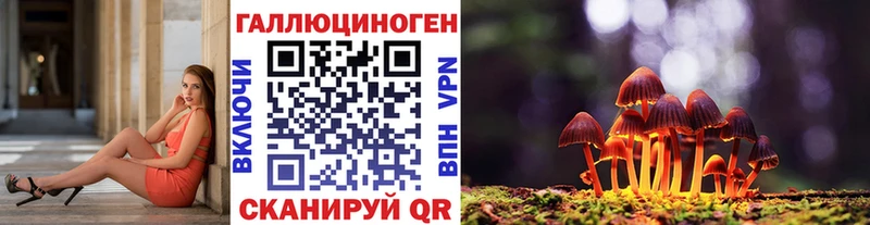 купить закладку  сайты даркнета состав  hydra маркетплейс  Псилоцибиновые грибы мицелий  Окуловка 