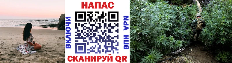 Конопля сатива  цена   Окуловка 